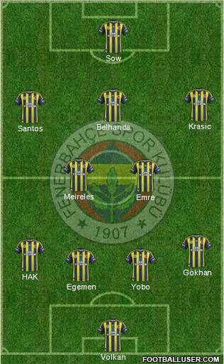 Fenerbahçe SK Formation 2013