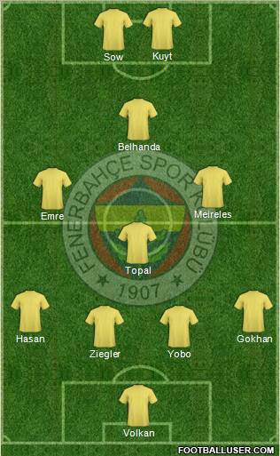 Fenerbahçe SK Formation 2013