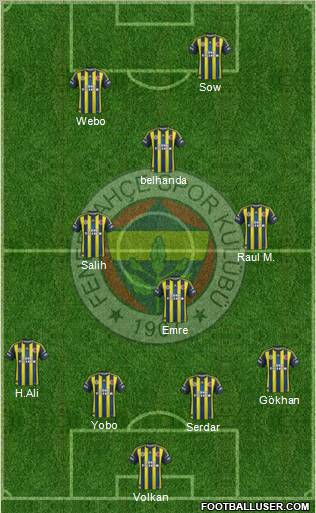 Fenerbahçe SK Formation 2013