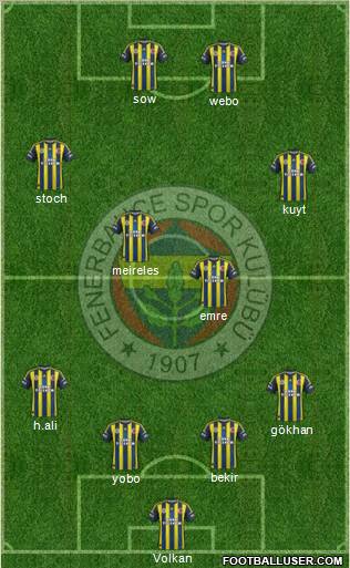 Fenerbahçe SK Formation 2013