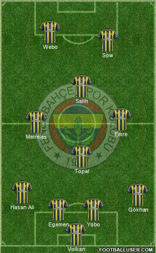 Fenerbahçe SK Formation 2013
