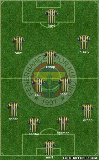 Fenerbahçe SK Formation 2013