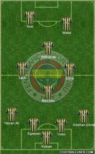 Fenerbahçe SK Formation 2013
