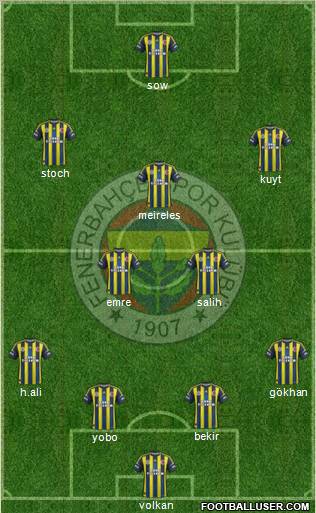 Fenerbahçe SK Formation 2013
