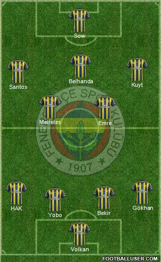Fenerbahçe SK Formation 2013