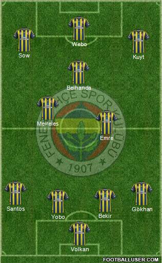 Fenerbahçe SK Formation 2013