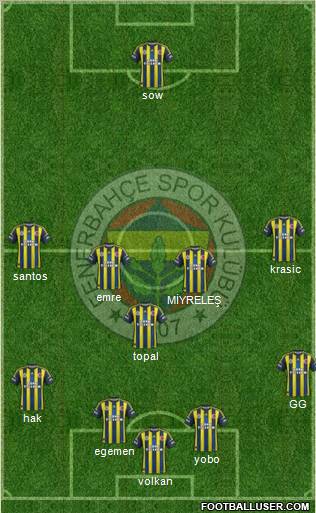 Fenerbahçe SK Formation 2013
