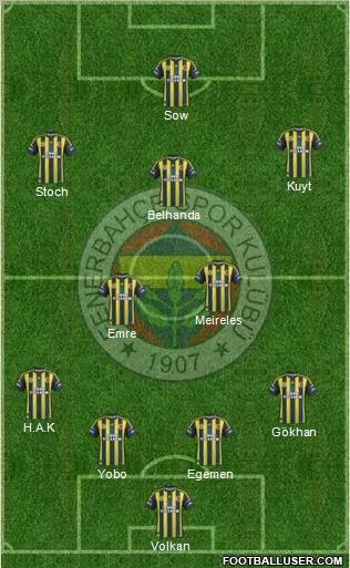 Fenerbahçe SK Formation 2013