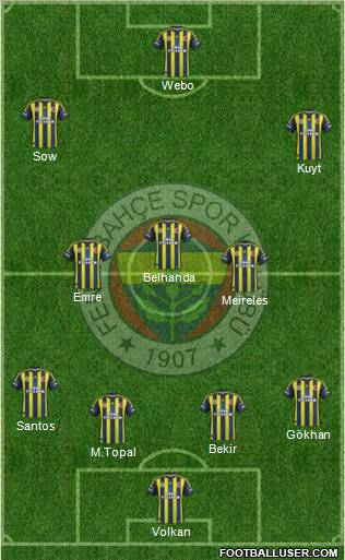 Fenerbahçe SK Formation 2013