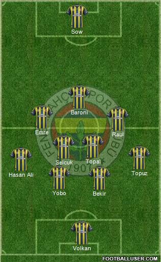 Fenerbahçe SK Formation 2013