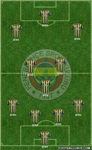 Fenerbahçe SK Formation 2013