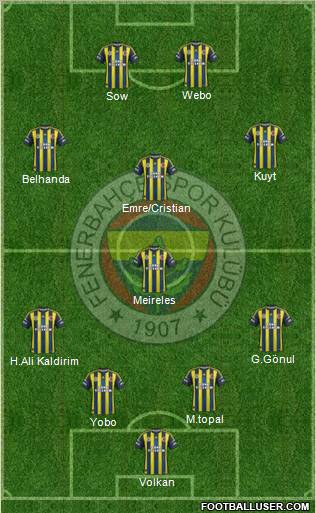 Fenerbahçe SK Formation 2013