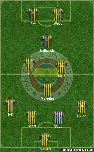 Fenerbahçe SK Formation 2013