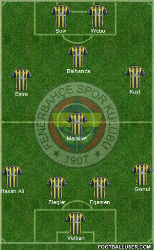 Fenerbahçe SK Formation 2013