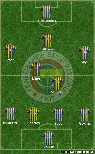 Fenerbahçe SK Formation 2013