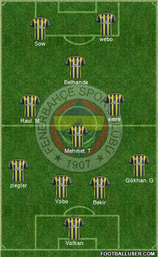 Fenerbahçe SK Formation 2013