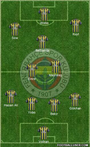 Fenerbahçe SK Formation 2013