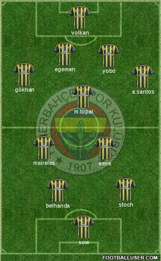 Fenerbahçe SK Formation 2013