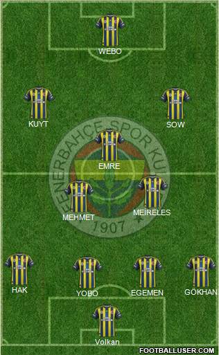 Fenerbahçe SK Formation 2013