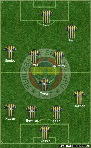Fenerbahçe SK Formation 2013