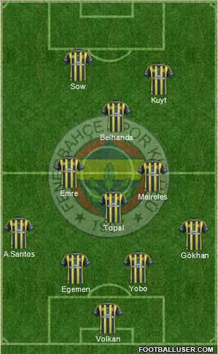 Fenerbahçe SK Formation 2013