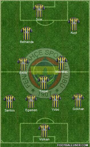 Fenerbahçe SK Formation 2013