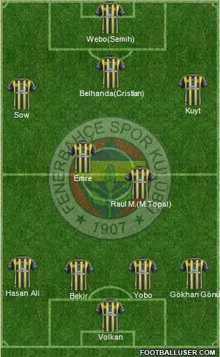 Fenerbahçe SK Formation 2013