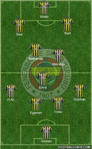 Fenerbahçe SK Formation 2013