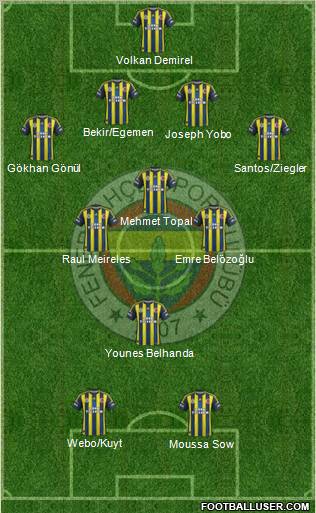 Fenerbahçe SK Formation 2013