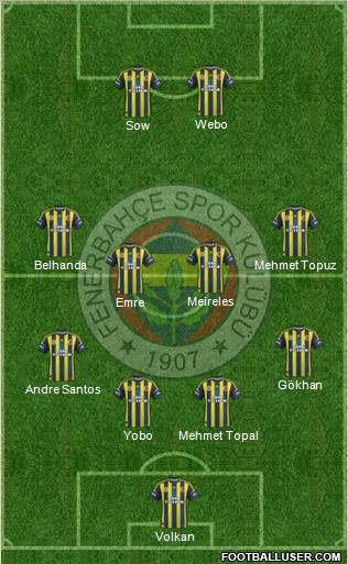 Fenerbahçe SK Formation 2013