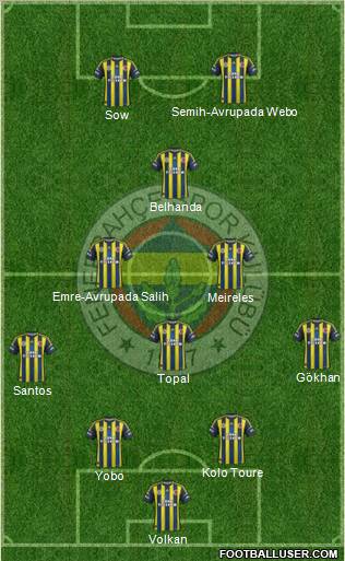 Fenerbahçe SK Formation 2013