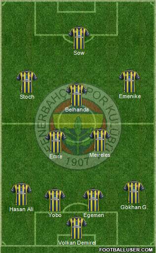 Fenerbahçe SK Formation 2013