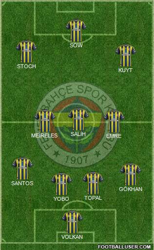 Fenerbahçe SK Formation 2013