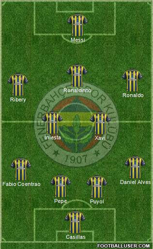 Fenerbahçe SK Formation 2013