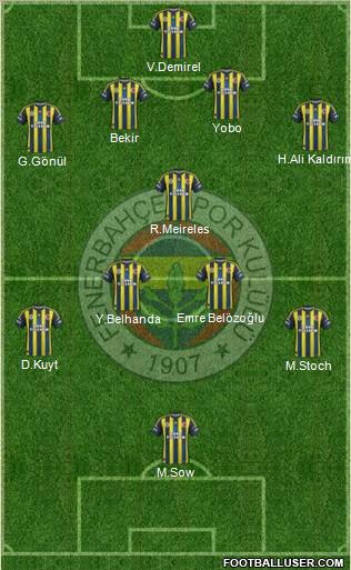 Fenerbahçe SK Formation 2013