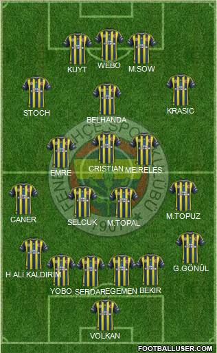 Fenerbahçe SK Formation 2013