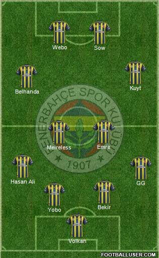 Fenerbahçe SK Formation 2013