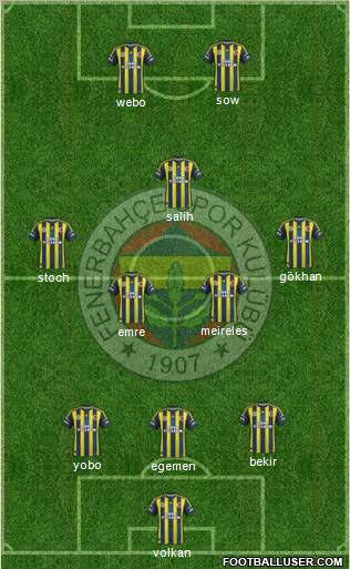 Fenerbahçe SK Formation 2013