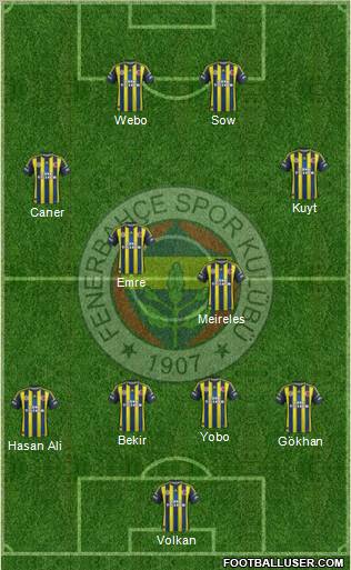 Fenerbahçe SK Formation 2013