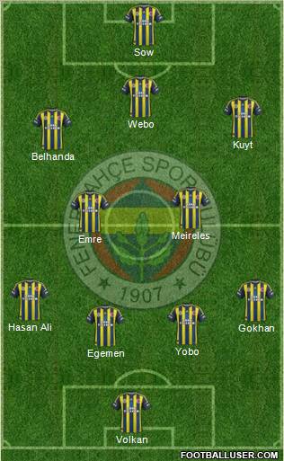 Fenerbahçe SK Formation 2013