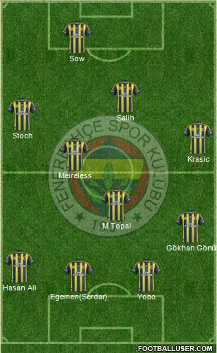 Fenerbahçe SK Formation 2013