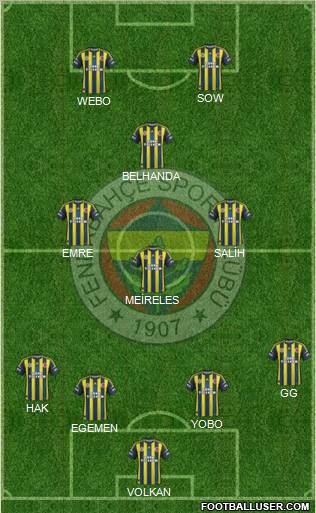 Fenerbahçe SK Formation 2013
