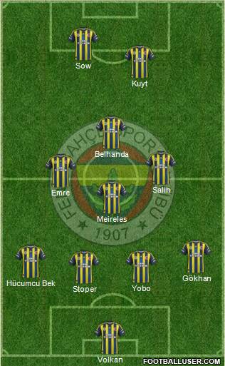 Fenerbahçe SK Formation 2013