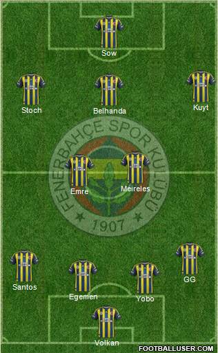 Fenerbahçe SK Formation 2013
