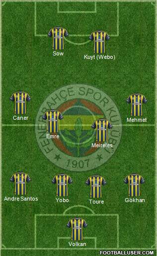 Fenerbahçe SK Formation 2013