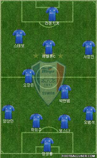 Suwon Samsung Blue Wings Formation 2013