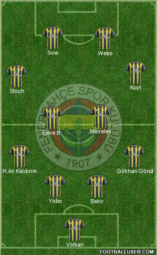 Fenerbahçe SK Formation 2013