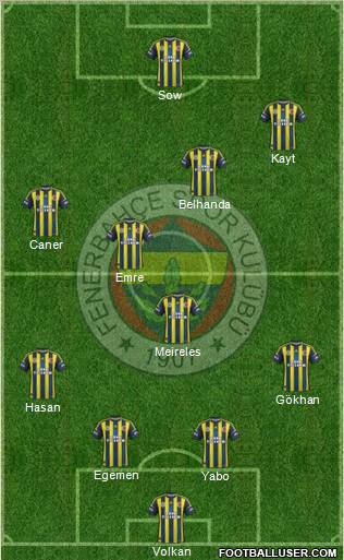 Fenerbahçe SK Formation 2013