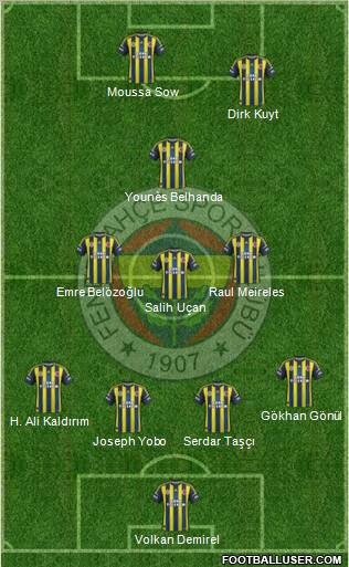 Fenerbahçe SK Formation 2013