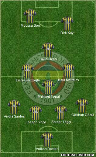 Fenerbahçe SK Formation 2013